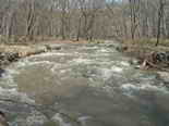 Река Рогатка весной. Май 2004 г.